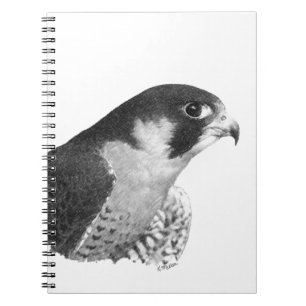 Peregrine Falcon-Pencil Notizblock