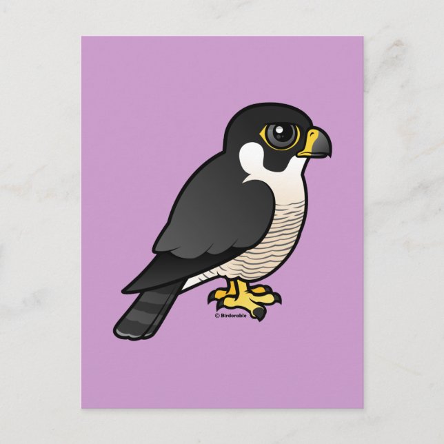 Peregrine Falcon Postkarte (Vorderseite)