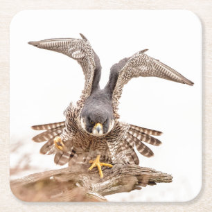 Peregrine Falcon Rechteckiger Pappuntersetzer