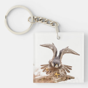 Peregrine Falcon Schlüsselanhänger