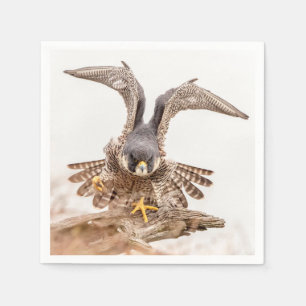 Peregrine Falcon Serviette