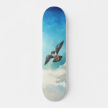 Peregrine falcon  Skateboard
