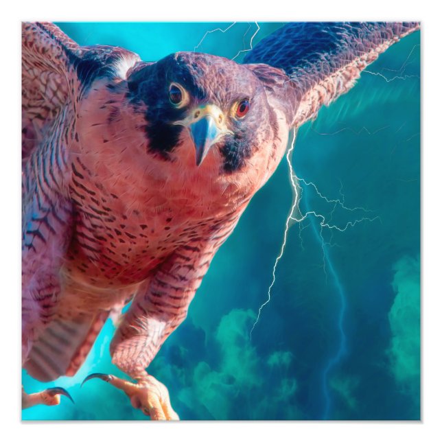 Peregrine Falcon WINGS of MERCURY Fotodruck (Vorne)