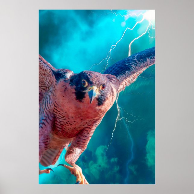 Peregrine Falcon WINGS of MERCURY Poster (Vorne)