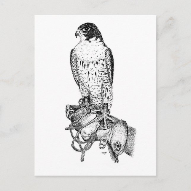 Peregrine Falken auf Blockpostkarte Postkarte (Vorderseite)