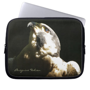 Peregrine Falken - Foto der Wildnis Laptopschutzhülle