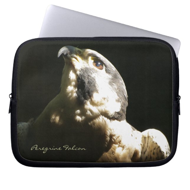 Peregrine Falken - Foto der Wildnis Laptopschutzhülle (Vorderseite)