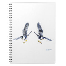 Peregrine Falken