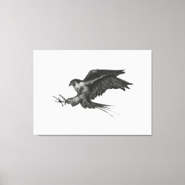 Peregrine Hawk-Leinwand Leinwanddruck