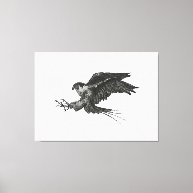 Peregrine Hawk-Leinwand Leinwanddruck (Vorderseite)