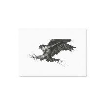Peregrine Hawk-Leinwand