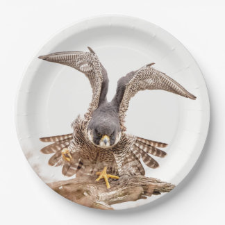 Peregrine Pappteller