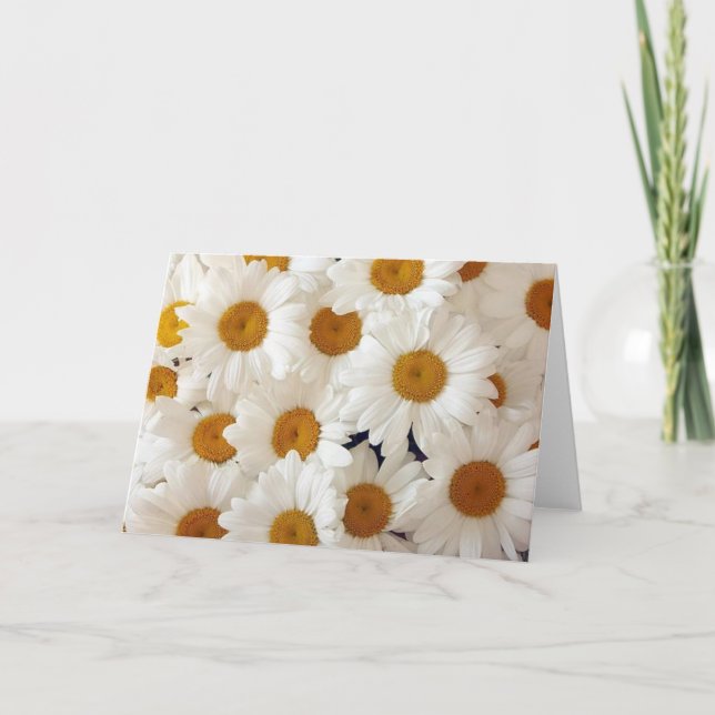 Perfect Daisies Grußkarten Karte (Vorderseite)