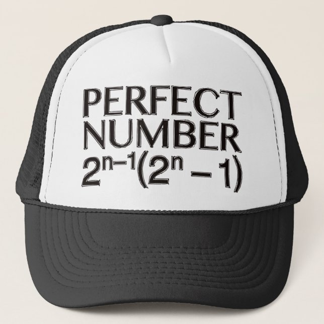 PERFECT_NUMMER TRUCKERKAPPE (Vorderseite)