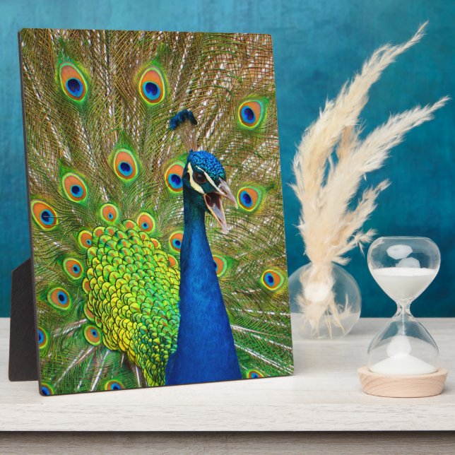 Perfect Peacock Plumage Fotoplatte (Seite)