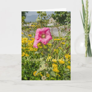 Perfect Pink Hollyhocks (Althaea) Karte