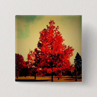 perfecttree 1 Knopf Button