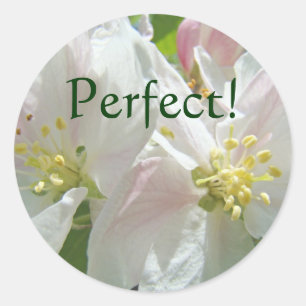 Perfekt! Aufkleber individuell Apfelblüten Blumen