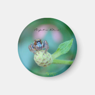 Perfekt in Nature Award Magnet