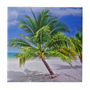 Perfekt Palm Tree Tropical Island Beach Fliese