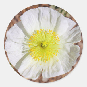 Perfekt Poppy Runder Aufkleber