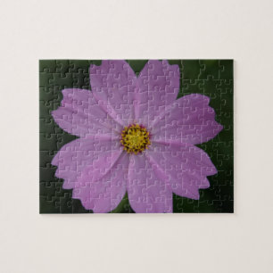 perfekte Blume
