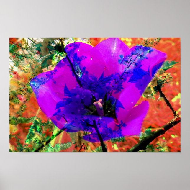 perfekte Entschuldigung Poster (Vorne)