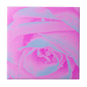 Perfekte Hot Pink und Hellblaue Rosendetails Fliese