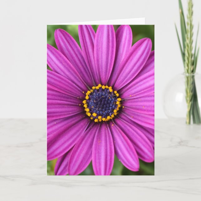 Perfekte Lila Blume Karte (Vorderseite)