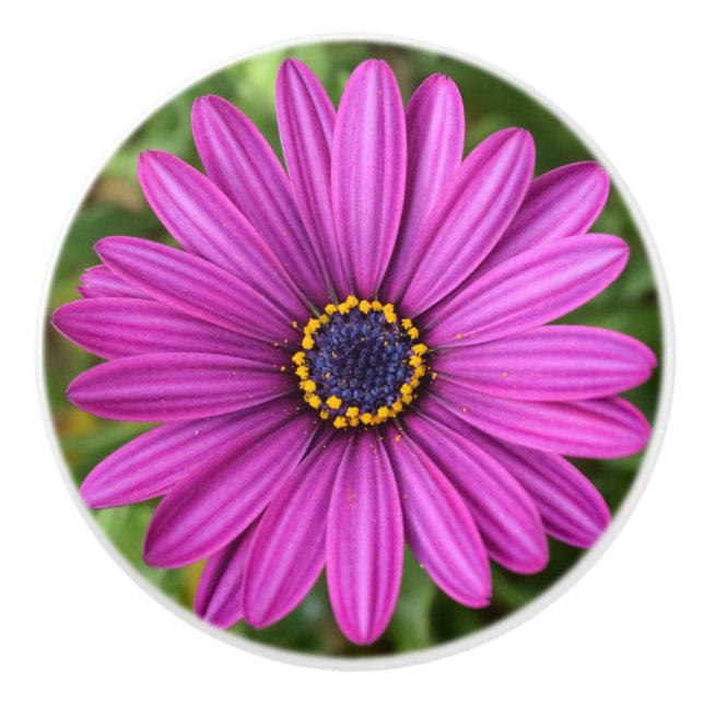 Perfekte Lila Blume Keramikknauf (Vorderseite)