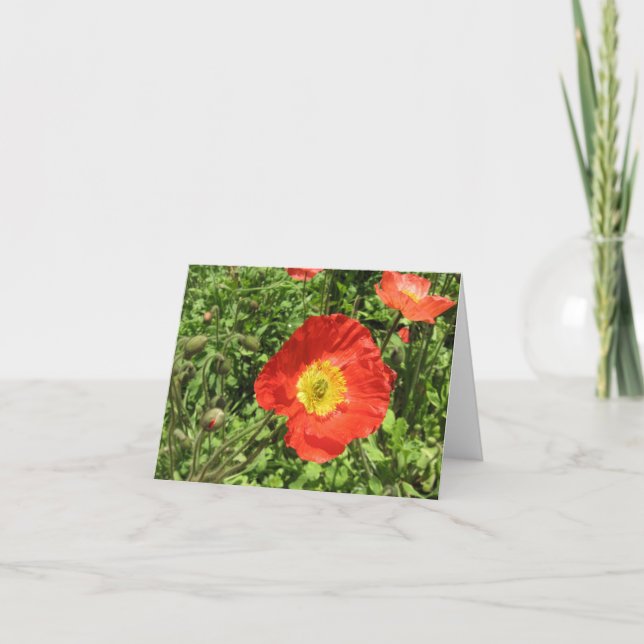 Perfekte Mohnblumen Karte (Vorderseite)