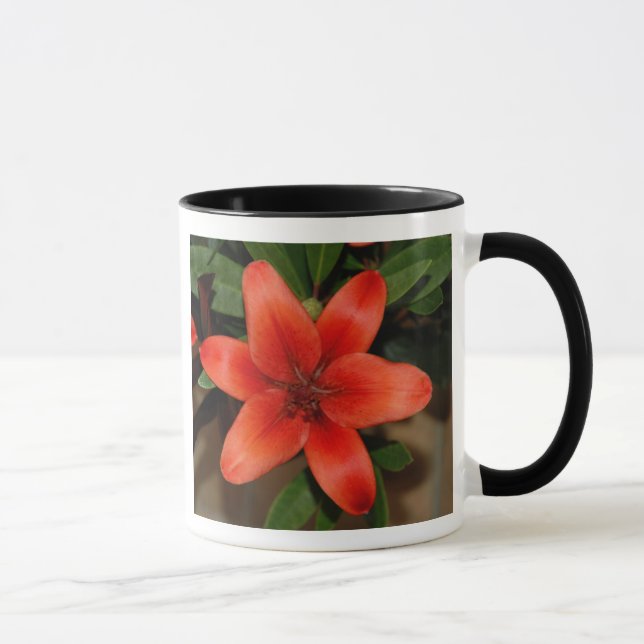 Perfekte Orange Lily Blume Tasse (Rechts)