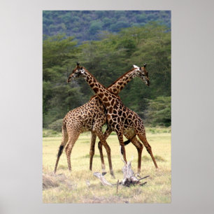 Perfekte Partner - Print Poster