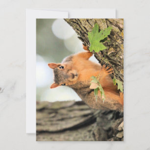 Perfekte Pose Einladung