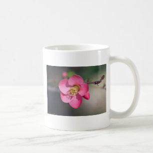Perfekte rosa Blütenquitte Kaffeetasse