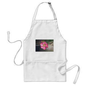 Perfekte rosa Blütenquitte Schürze