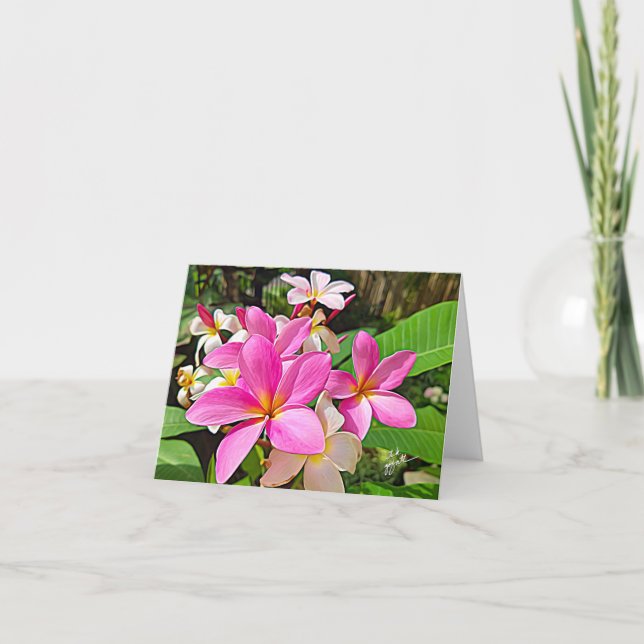 Perfekte rosa Plumeria-Mitteilungskarten Karte (Vorderseite)
