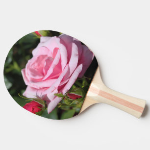 perfekte rosa Rosenblüte und Knospen. Liebe, frei Tischtennis Schläger