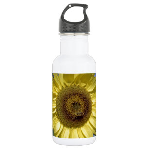 Perfekte Sommer-Sonnenblume in blauem Himmel. Trinkflasche