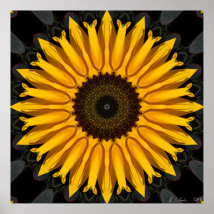 Perfekte Sonnenblume Poster