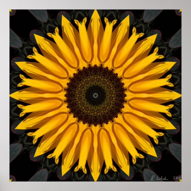 Perfekte Sonnenblume Poster (Vorne)