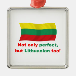 Perfekter Litauer Ornament Aus Metall