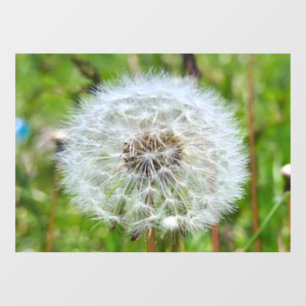 Perfekter Löwenzahn – Botanische Makrofotografie Fensteraufkleber