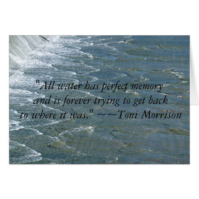 Perfektes Gedächtnis (Vorderseite (Horizontal))