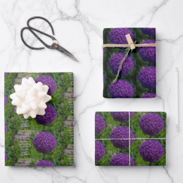 Perfektes Lila Angebot der Allium Blume Motivieren Geschenkpapier Set