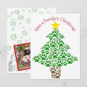 Perfektes Weihnachten Lustiges Katzenpfotenabdruck