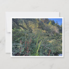 Perfektes Wetter Postkarte