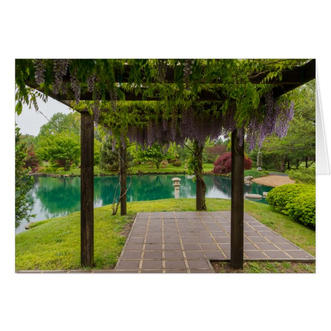 Pergola De Wisteria (Devant Horizontal)