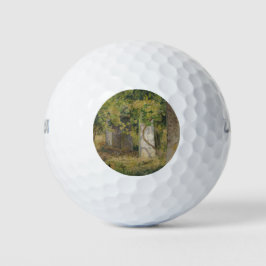 Pergola mit Weintrauben (Weinlandschaft) Golfball