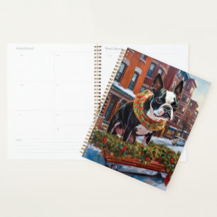 Période de fêtes de Noël du Boston Terrier
